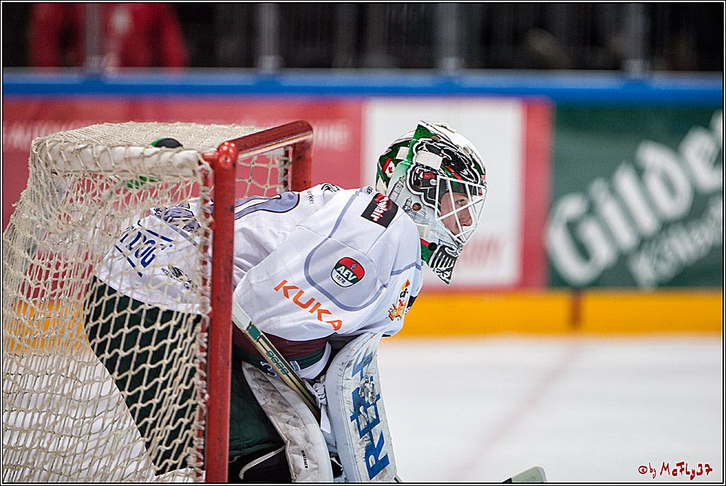 DEL, Koelner Haie - Augsburger Panther, 13.01.2017